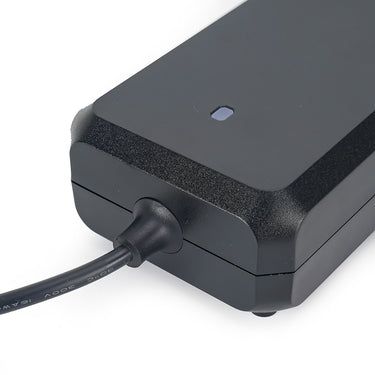 84V 4A Charger for Daytona